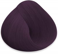 concentrates violet